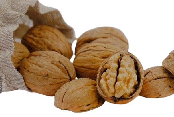 Wallnut Per Kg