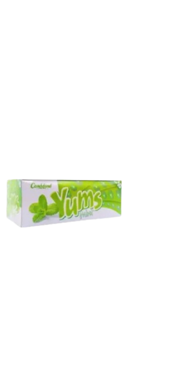 Candyland Yums Mint Box of 18 Pcs