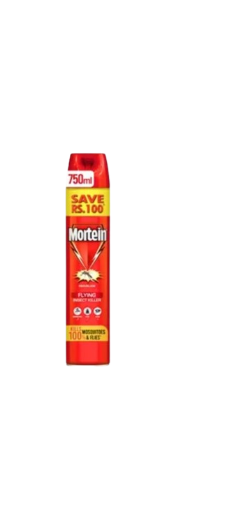 Mortein Odourless Flying Insect Killer Faster Spray 750ml