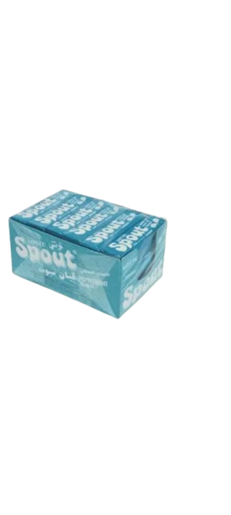 Lotte Spout Paper Mint 18pc