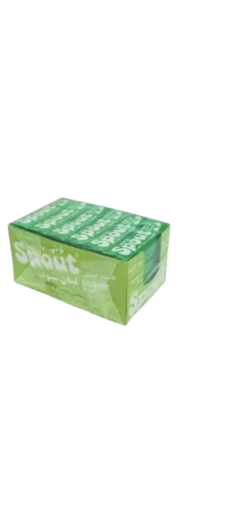 Lotte Spout Spare Mint Chew-Gum 18pc