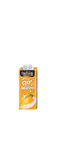 DayFresh Mango Flavor Milk 225ml x 12pc